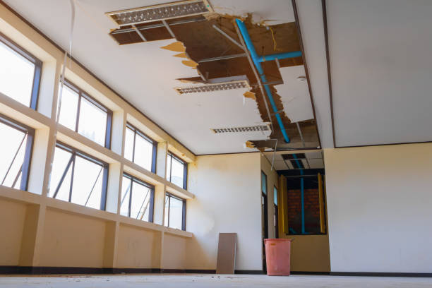 Best Water damage contractors near me  in South Valley Stream, NY