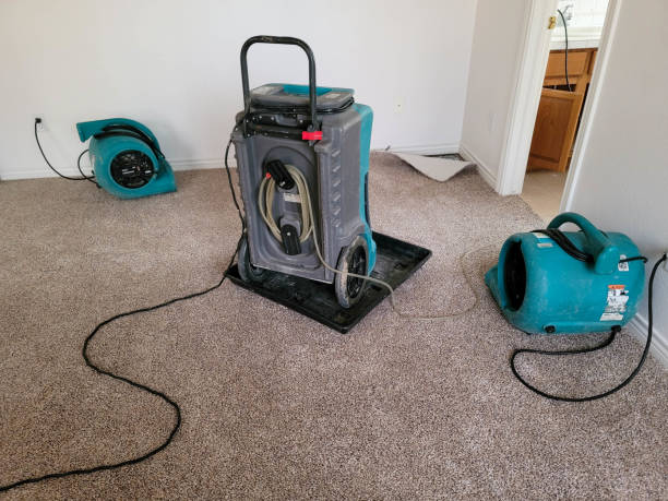 Best Water damage cleanup near me  in South Valley Stream, NY