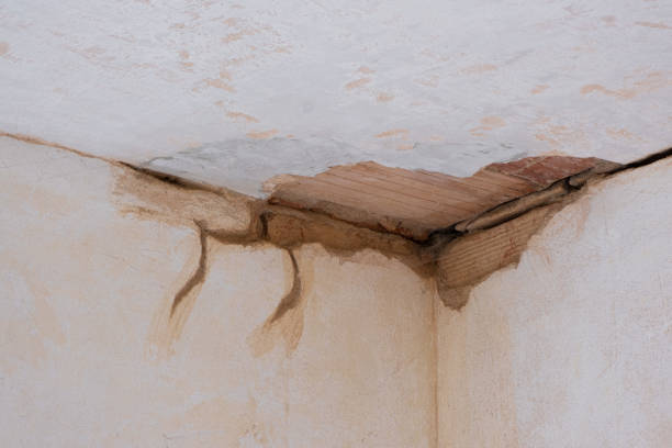 Best Water damage restoration near me  in South Valley Stream, NY