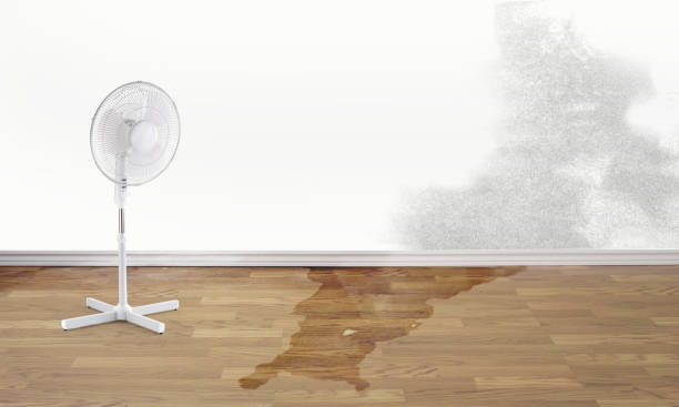 Best Residential water damage restoration  in South Valley Stream, NY