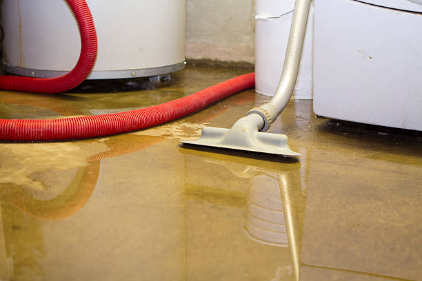 Best Commercial water damage restoration  in South Valley Stream, NY