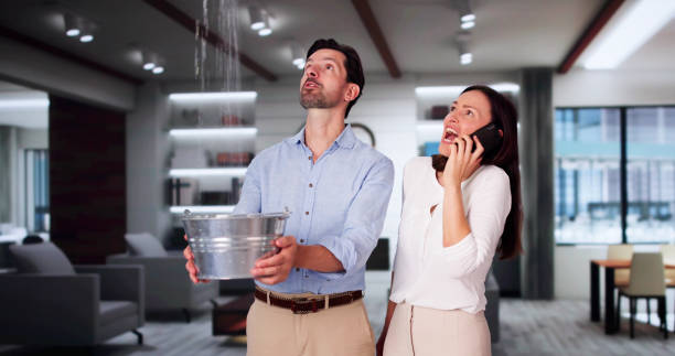Best Basement water damage restoration  in South Valley Stream, NY