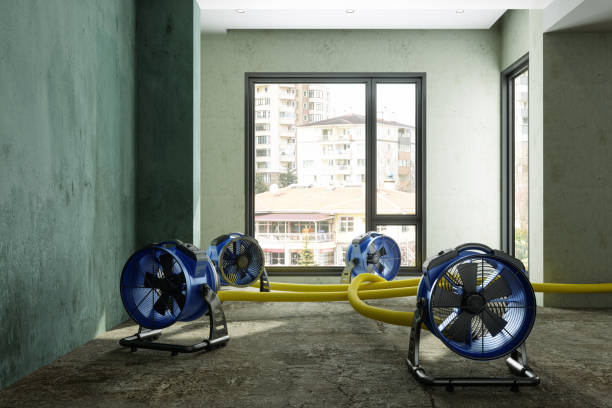 Best Emergency water damage restoration  in South Valley Stream, NY