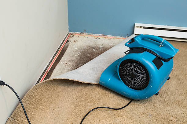 Best Flood damage cleanup  in South Valley Stream, NY